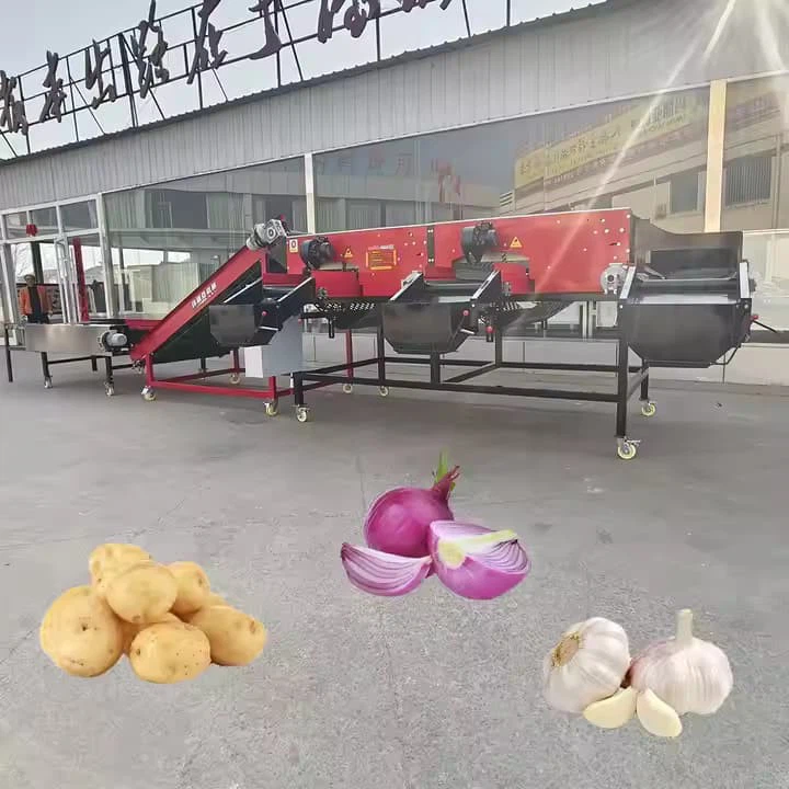 Industrial Garlic Size Sorting Machine/Garlic Onion Grading Sorting Machine/Garlic Sorting Grading Machine