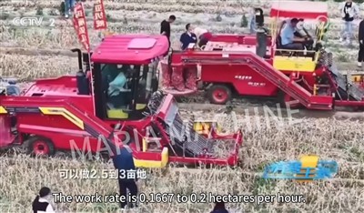 من 0.02 هكتار في اليوم إلى 0.2 هكتار في الساعة: ثورة حصاد ماريا