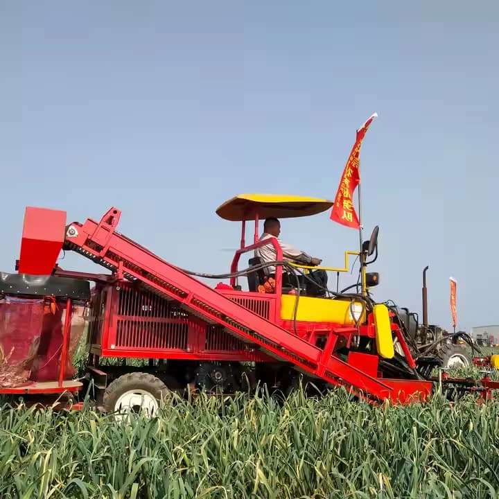 صفوف مزدوجة جرار صغير مثبت على الثوم الكسافا الحلو الثوم مورفي جزر الزنجبيل الحصاد
